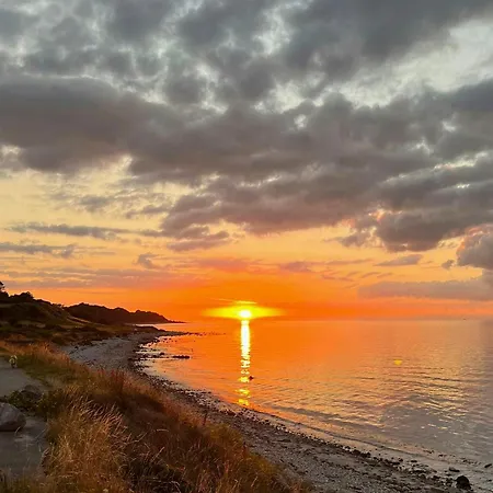 Nyaraló Traehytte Mellem Naletraeerne Ved Sonnerup Skov *